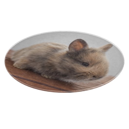 Kutest Baby Animals | Kleine Baby Bunny Snijplank (Hoek)