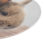 Kutest Baby Animals | Kleine Baby Bunny Snijplank (Hoek)