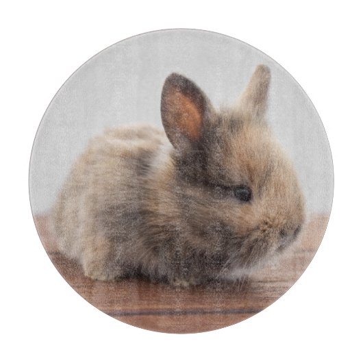 Kutest Baby Animals | Kleine Baby Bunny Snijplank (Voorkant)