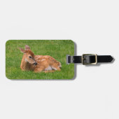 Kutest Baby Animals | Kleine Fawn Bagagelabel (Voorkant horizontaal)