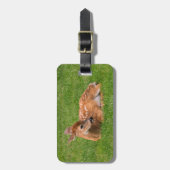 Kutest Baby Animals | Kleine Fawn Bagagelabel (Voorkant verticaal)
