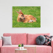 Kutest Baby Animals | Kleine Fawn Canvas Afdruk (Insitu (Woonkamer))