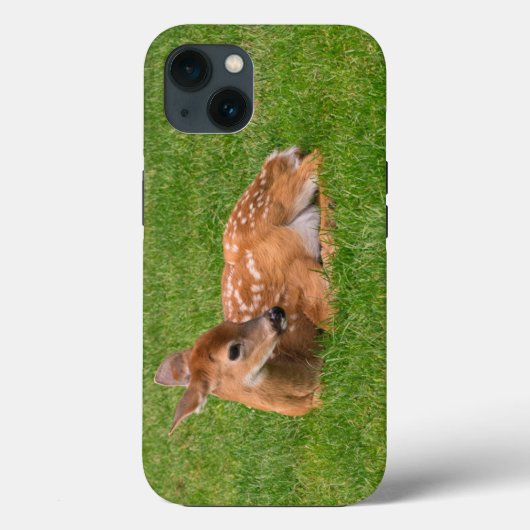 Kutest Baby Animals | Kleine Fawn Case-Mate iPhone Case (Achterkant)