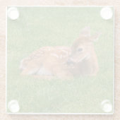 Kutest Baby Animals | Kleine Fawn Glazen Onderzetter (Achterkant)