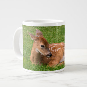 Kutest Baby Animals   Kleine Fawn Grote Koffiekop