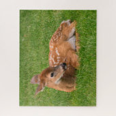Kutest Baby Animals | Kleine Fawn Legpuzzel (Verticaal)