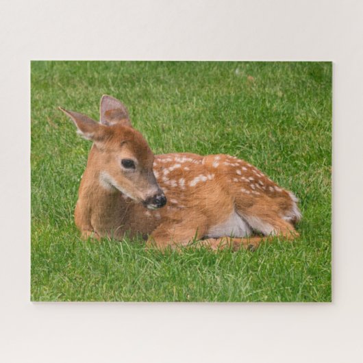 Kutest Baby Animals | Kleine Fawn Legpuzzel (Horizontaal)