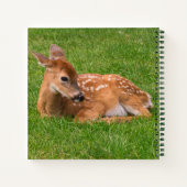Kutest Baby Animals | Kleine Fawn Notitieboek (Achterkant)