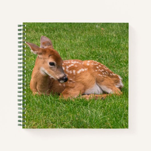 Kutest Baby Animals | Kleine Fawn Notitieboek (Voorkant)
