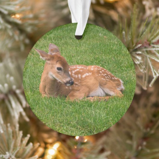 Kutest Baby Animals | Kleine Fawn Ornament (Boom)