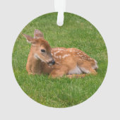 Kutest Baby Animals | Kleine Fawn Ornament (achterkant)
