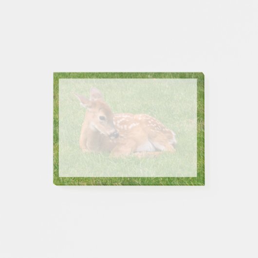 Kutest Baby Animals | Kleine Fawn Post-it® Notes (Voorkant)