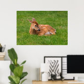 Kutest Baby Animals | Kleine Fawn Poster (Thuiskantoor)