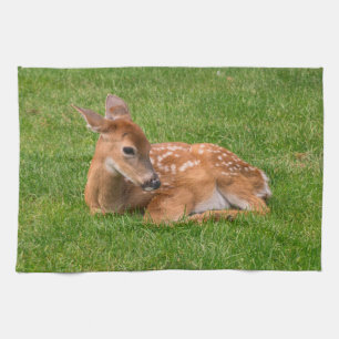 Kutest Baby Animals Kleine Fawn Theedoek