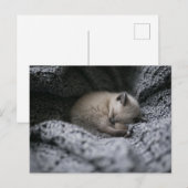 Kutest Baby Animals | Kleine glazen slaapstand Briefkaart (Voorkant / Achterkant)