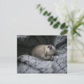 Kutest Baby Animals | Kleine glazen slaapstand Briefkaart (Staand voorkant)