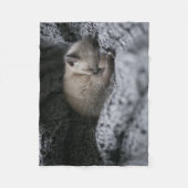 Kutest Baby Animals | Kleine glazen slaapstand Fleece Deken (Voorkant)