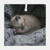 Kutest Baby Animals | Kleine glazen slaapstand Glas Ornament (Achterkant)