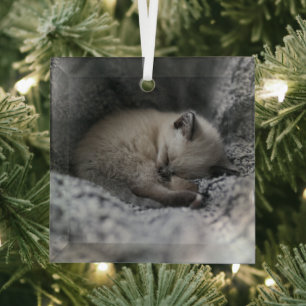 Kutest Baby Animals   Kleine glazen slaapstand Glas Ornament