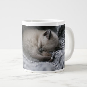 Kutest Baby Animals   Kleine glazen slaapstand Grote Koffiekop