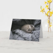 Kutest Baby Animals | Kleine glazen slaapstand Kaart (Gele Bloem)