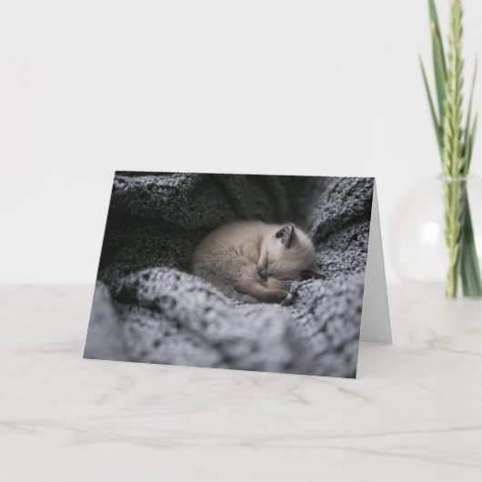 Kutest Baby Animals | Kleine glazen slaapstand Kaart (Voorkant)