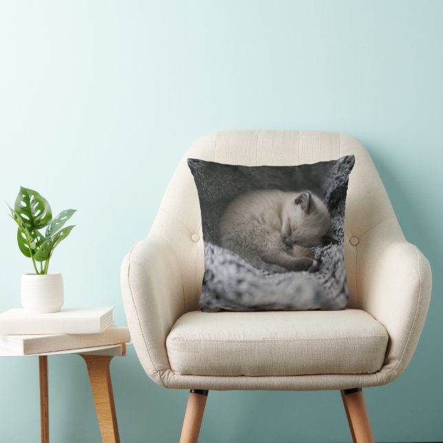 Kutest Baby Animals | Kleine glazen slaapstand Kussen (Stoel)