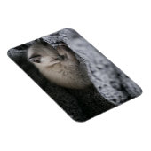 Kutest Baby Animals | Kleine glazen slaapstand Magneet (Rechterzijde)