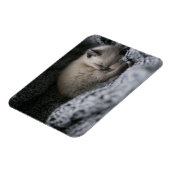 Kutest Baby Animals | Kleine glazen slaapstand Magneet (Linkerzijde)