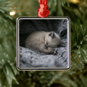 Kutest Baby Animals Kleine glazen slaapstand Metalen Ornament