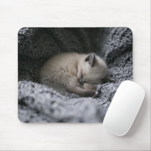Kutest Baby Animals   Kleine glazen slaapstand Muismat