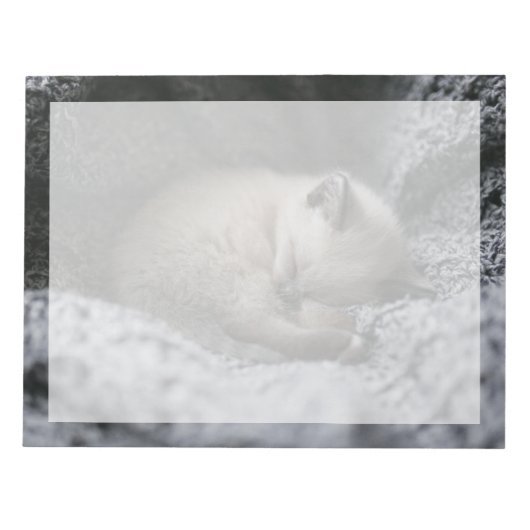 Kutest Baby Animals | Kleine glazen slaapstand Notitieblok (Voorkant)