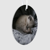 Kutest Baby Animals | Kleine glazen slaapstand Ornament (voorkant)