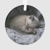 Kutest Baby Animals | Kleine glazen slaapstand Ornament (achterkant)