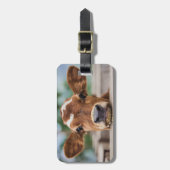 Kutest Baby Animals | Kleine Koe Calf Bagagelabel (Voorkant verticaal)