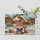 Kutest Baby Animals | Kleine Koe Calf Bedankkaart (Staand voorkant)