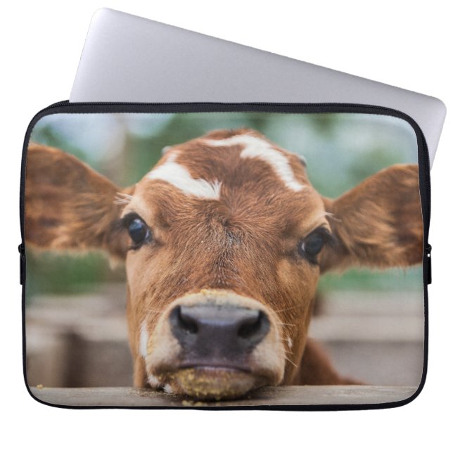 Kutest Baby Animals | Kleine Koe Calf Laptop Sleeve (Voorkant)