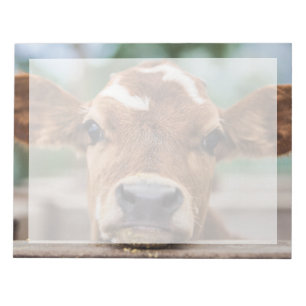 Kutest Baby Animals   Kleine Koe Calf Notitieblok
