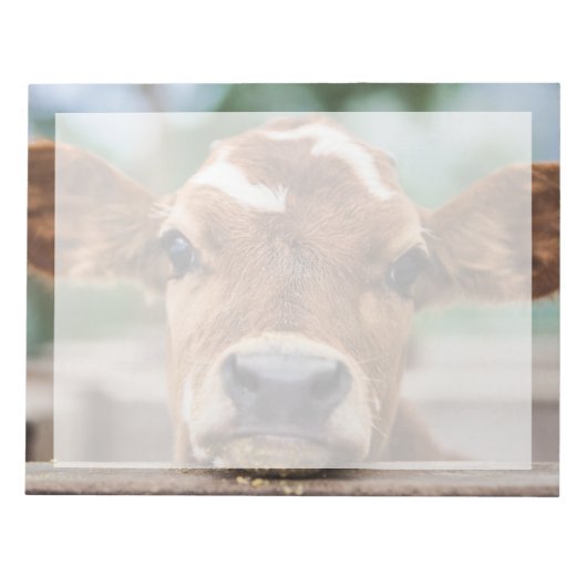 Kutest Baby Animals | Kleine Koe Calf Notitieblok (Voorkant)