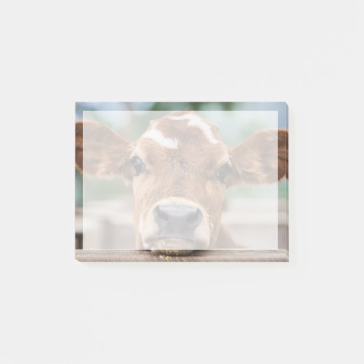 Kutest Baby Animals | Kleine Koe Calf Post-it® Notes (Voorkant)