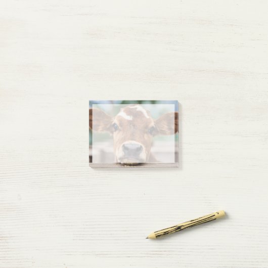 Kutest Baby Animals | Kleine Koe Calf Post-it® Notes (Op bureau)
