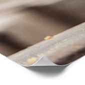 Kutest Baby Animals | Kleine Koe Calf Poster (Hoek)