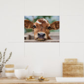 Kutest Baby Animals | Kleine Koe Calf Poster (Keuken)