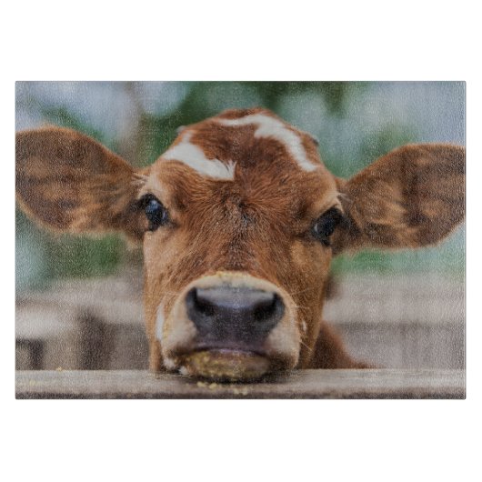 Kutest Baby Animals | Kleine Koe Calf Snijplank (Voorkant)