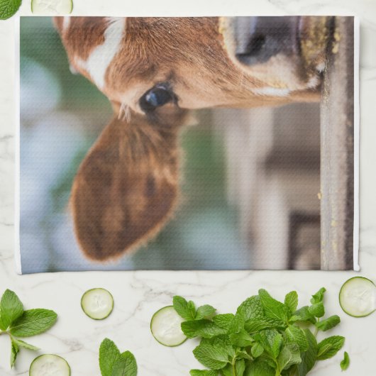 Kutest Baby Animals | Kleine Koe Calf Theedoek (Gevouwen)