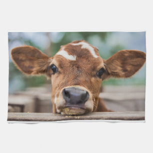 Kutest Baby Animals Kleine Koe Calf Theedoek