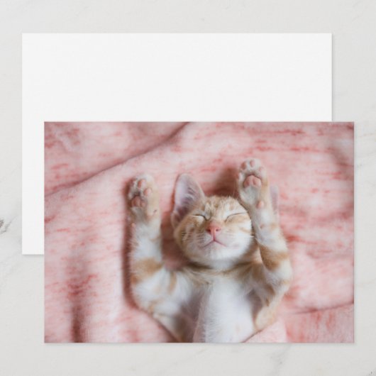 Kutest Baby Animals | Kleine Oranje tapkeuten Bedankkaart (Voorkant / Achterkant)