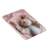 Kutest Baby Animals | Kleine Oranje tapkeuten Magneet (Rechterzijde)