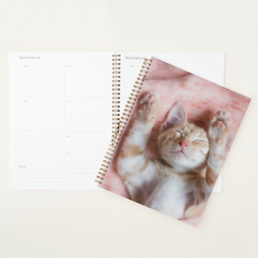 Kutest Baby Animals | Kleine Oranje tapkeuten Planner (Display)