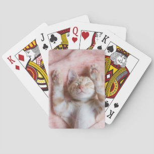 Kutest Baby Animals   Kleine Oranje tapkeuten Pokerkaarten